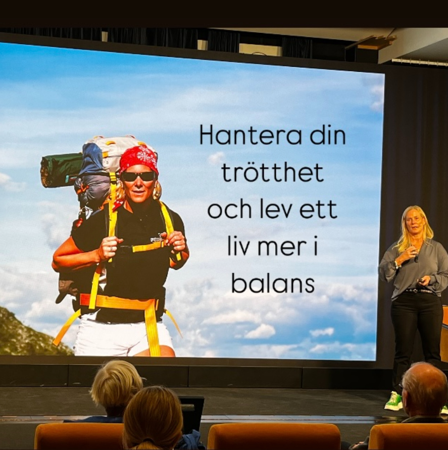 Skärmbild 2025-01-28 160730